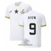 Officiële Voetbalshirt Ghana Ayew 9 Thuis Jordan WK 2022 - Heren